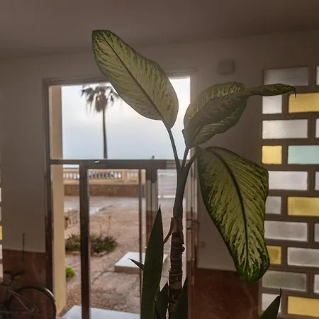 Apartment El Pez Volador By Gades Gestion Cadiz